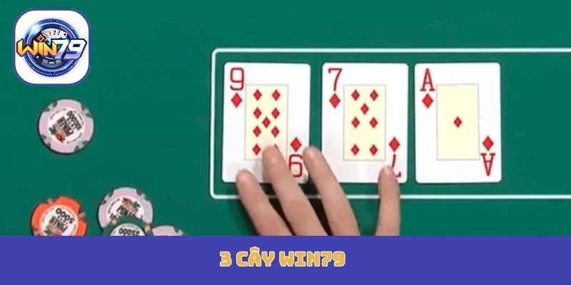 3 cây Win79