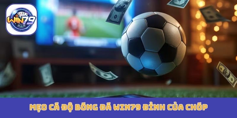 Mẹo cá độ bóng đá Win79 đỉnh của chóp